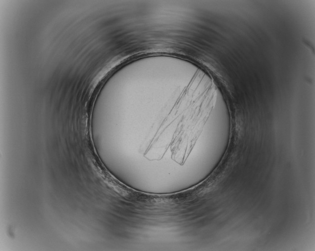 X0000099320933200805161357