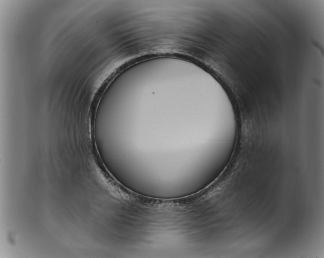 X0000099320934200805161357