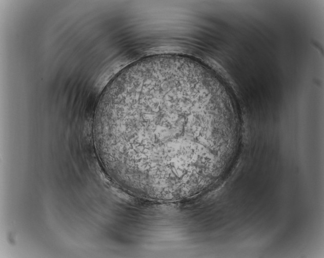 X0000099320937200805161357