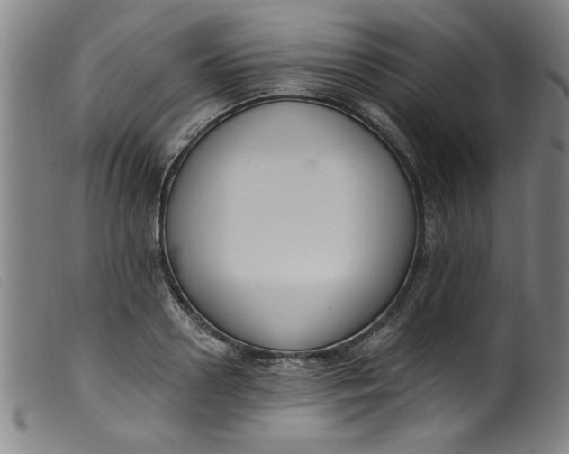 X0000099320938200805161357