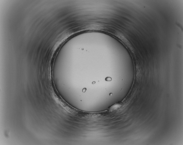 X0000099320939200805161357