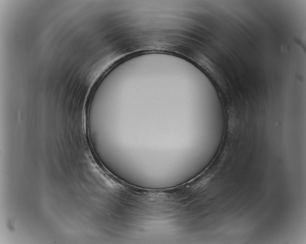 X0000099320940200805161357