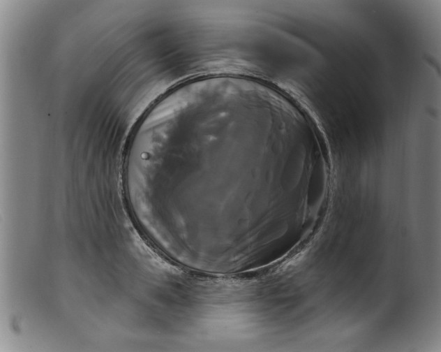 X0000099320941200805161357