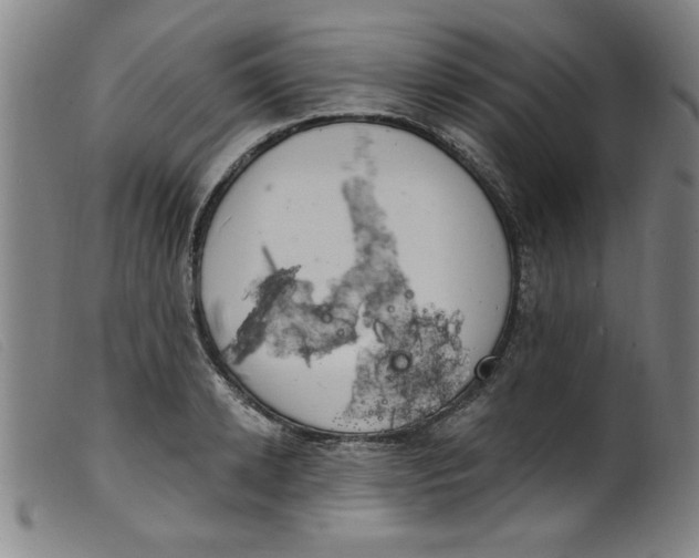 X0000099320942200805161357