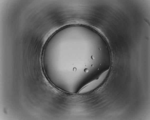 X0000099320943200805161357