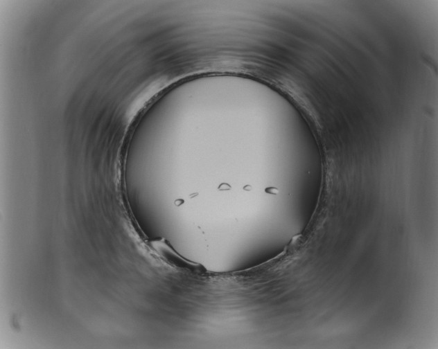 X0000099320944200805161357