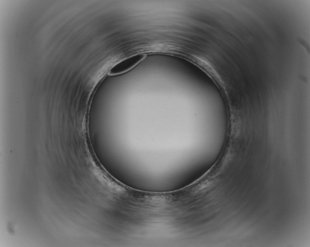 X0000099320946200805161357