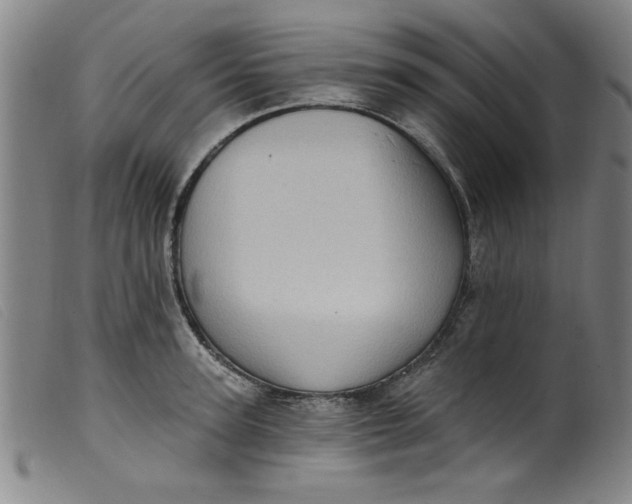 X0000099320947200805161357