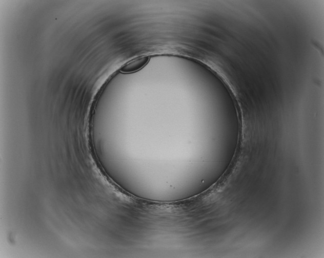 X0000099320949200805161357