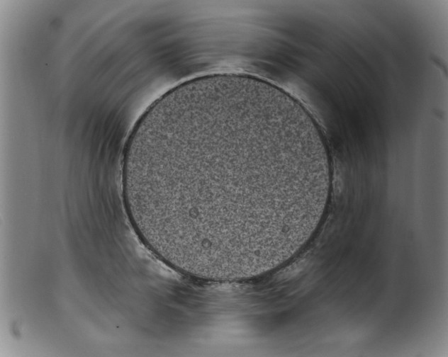 X0000099320950200805161357