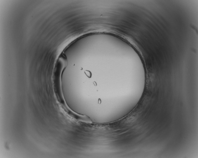 X0000099320951200805161357