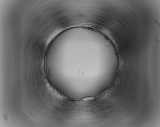 X0000099320952200805161357