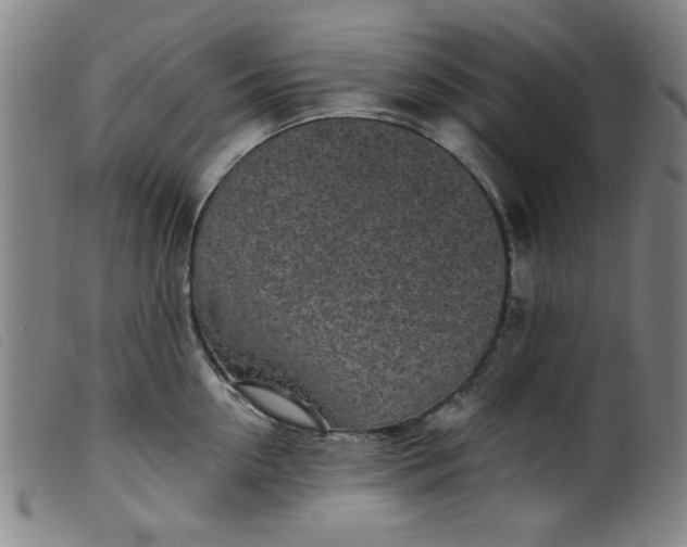 X0000099320954200805161357