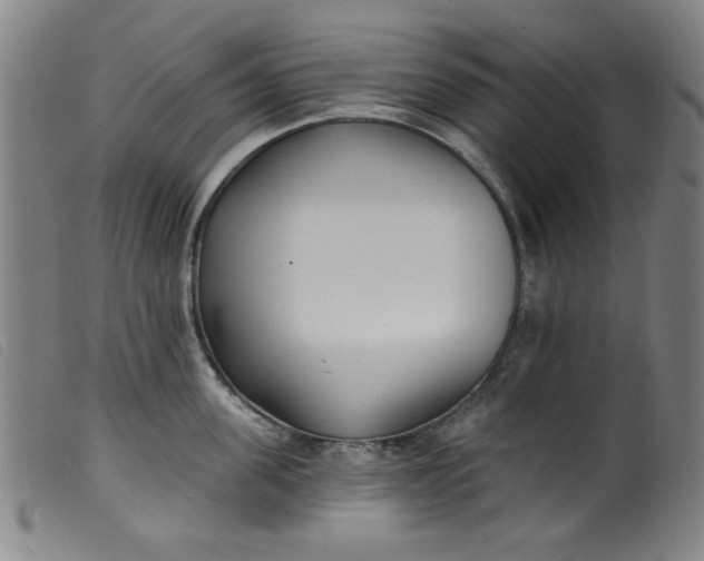 X0000099320955200805161357