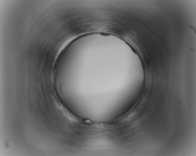 X0000099320956200805161357