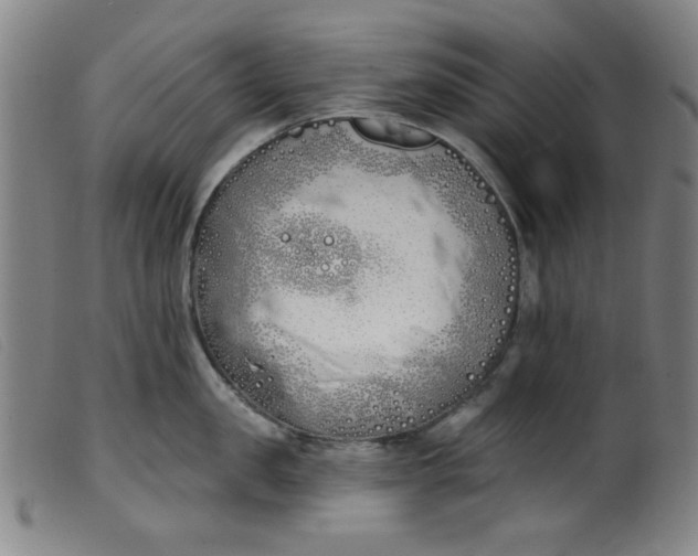 X0000099320957200805161357