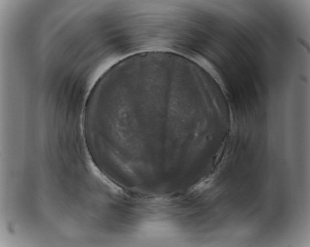 X0000099320958200805161357