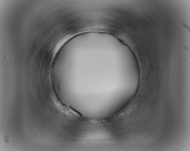 X0000099320960200805161357