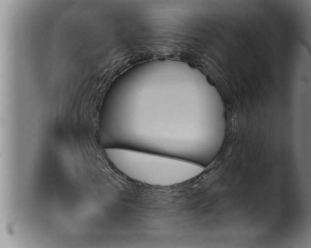 X0000099320961200805161357