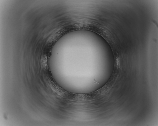 X0000099320963200805161357