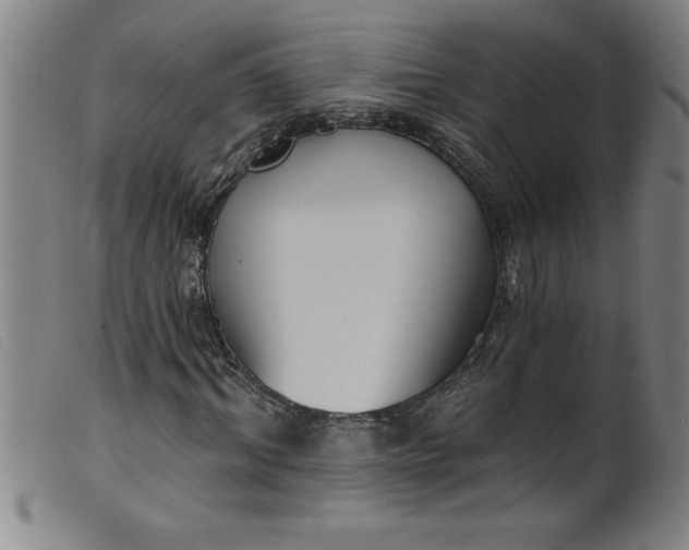 X0000099320964200805161357