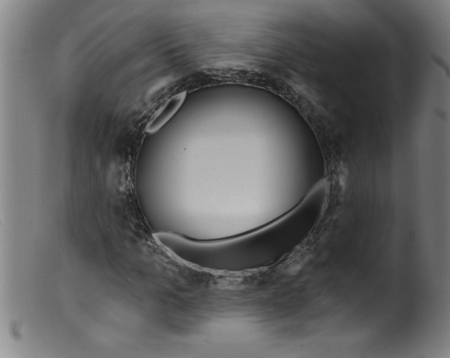 X0000099320965200805161357