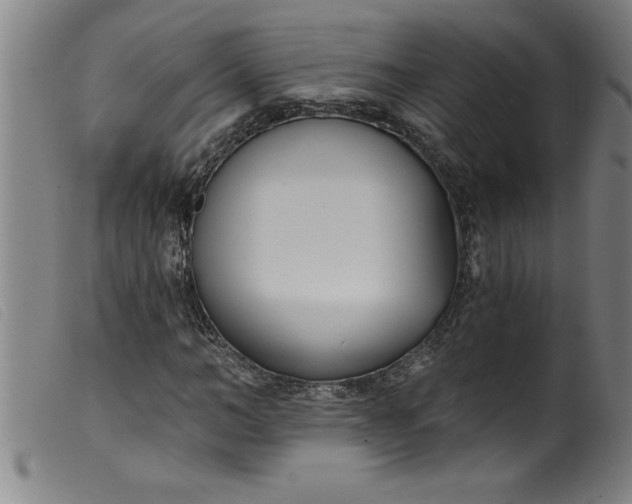 X0000099320966200805161357