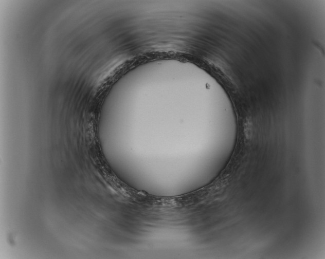 X0000099320968200805161357