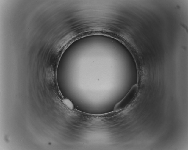 X0000099320969200805161357