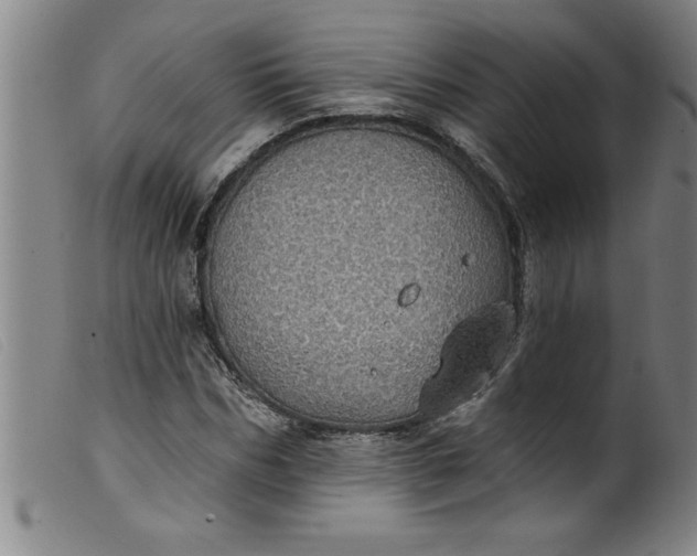 X0000099320970200805161357