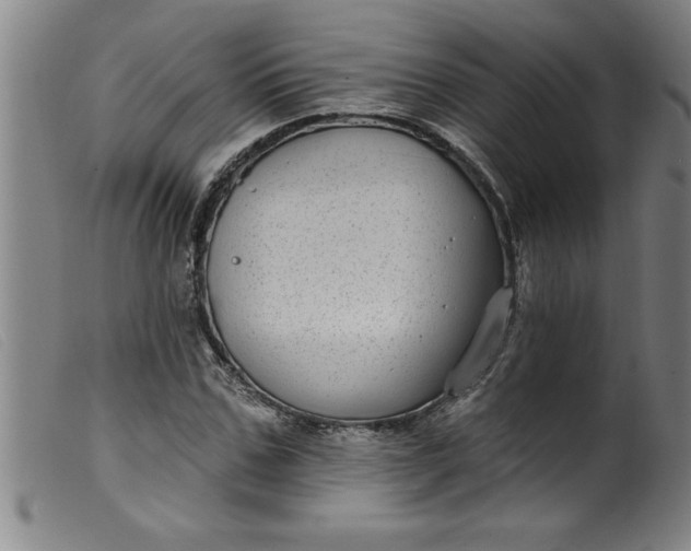 X0000099320971200805161357