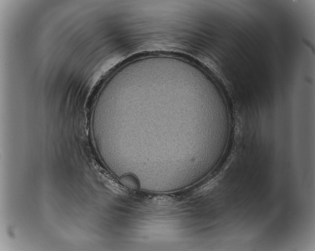 X0000099320974200805161357