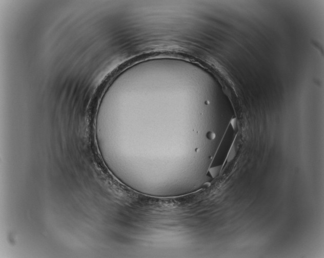 X0000099320975200805161357