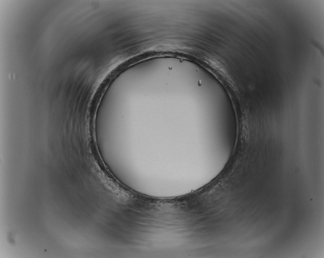 X0000099320976200805161357