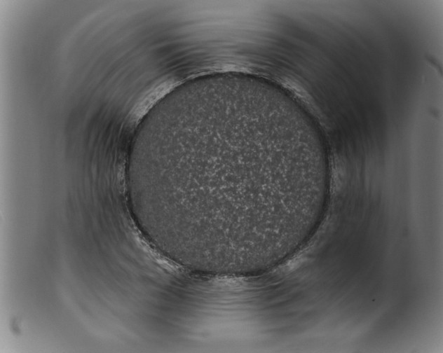 X0000099320977200805161357