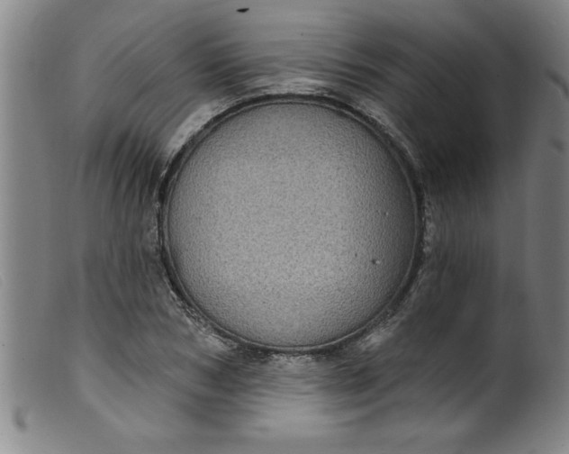 X0000099320978200805161357