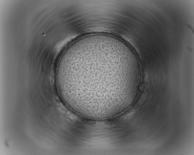 X0000099320979200805161356