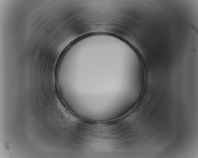 X0000099320980200805161356