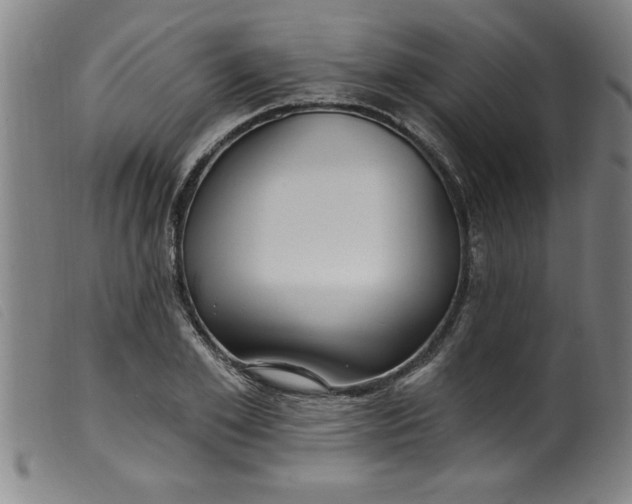 X0000099320981200805161356