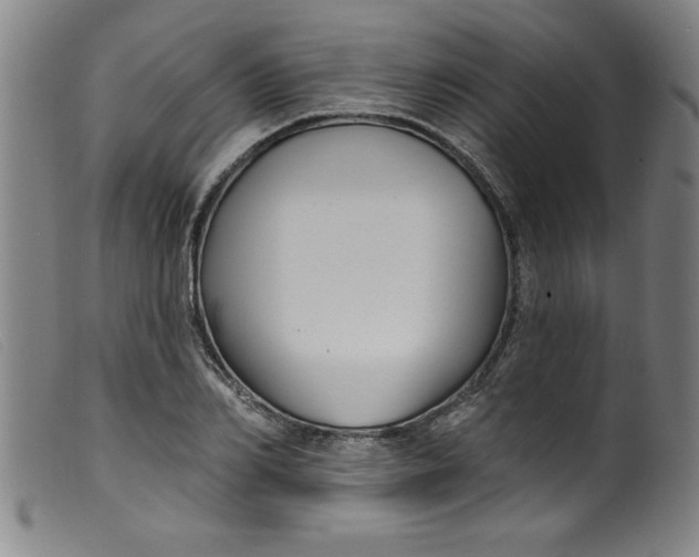 X0000099320982200805161356