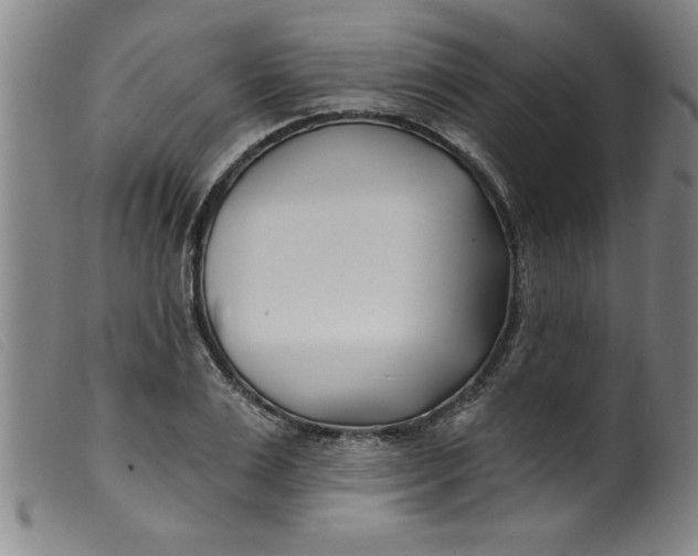 X0000099320983200805161356