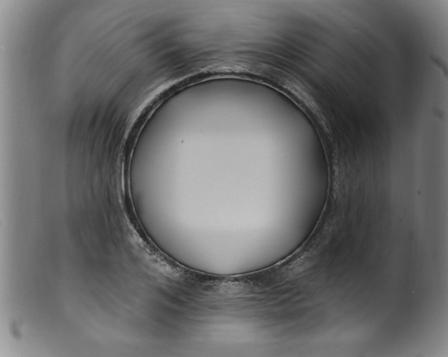 X0000099320984200805161356