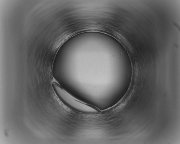 X0000099320985200805161356