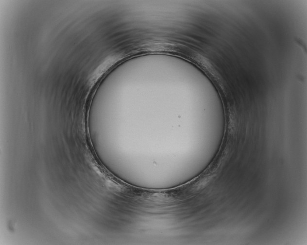 X0000099320986200805161356