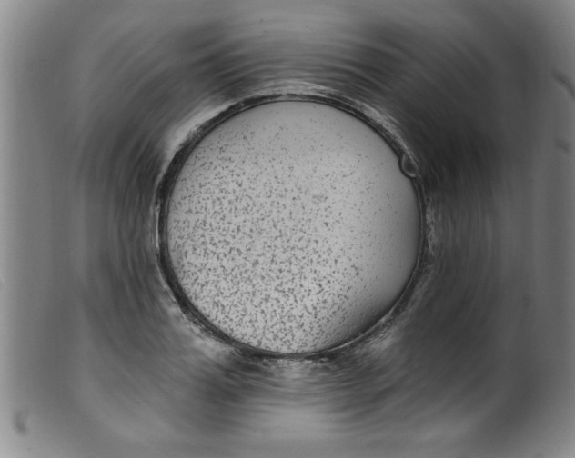 X0000099320987200805161356