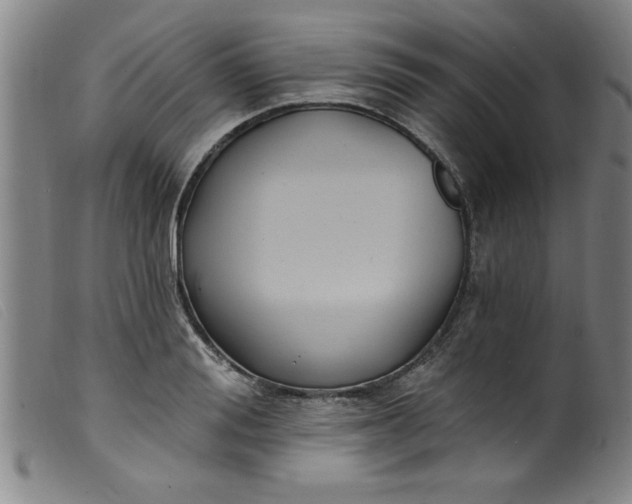 X0000099320988200805161356