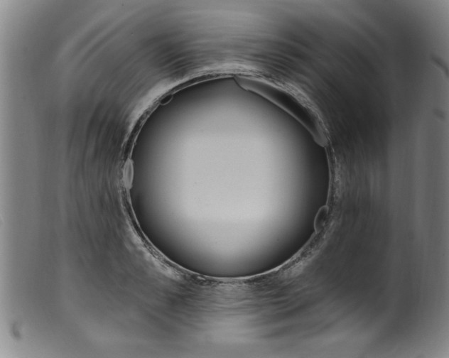 X0000099320989200805161356