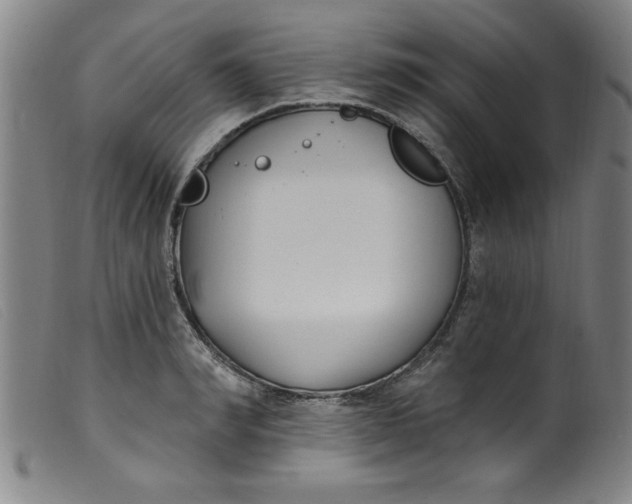 X0000099320990200805161356