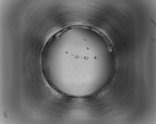 X0000099320991200805161356