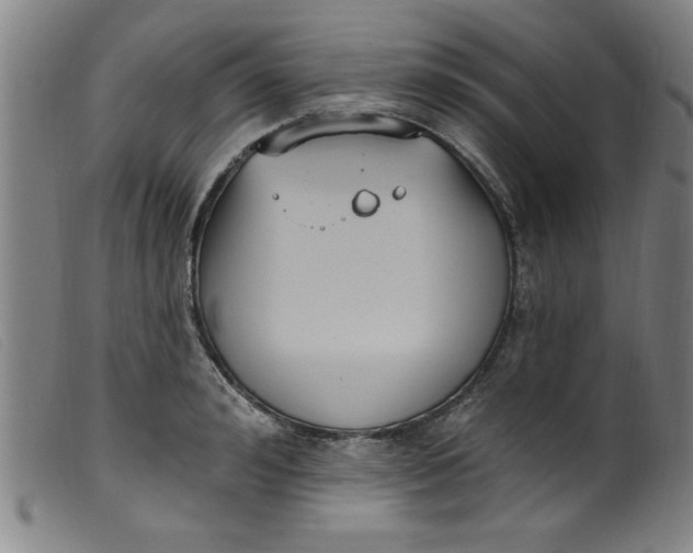 X0000099320992200805161356